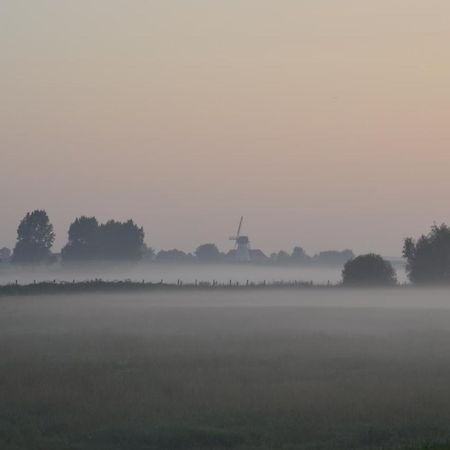 Oversteekhof Roesbrugge-Haringe Buitenkant foto