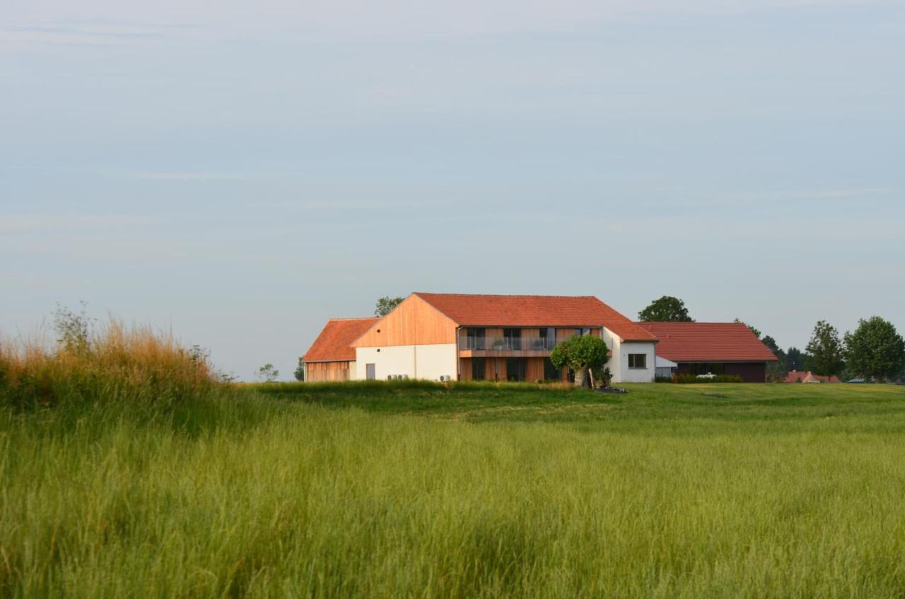 Oversteekhof Roesbrugge-Haringe Buitenkant foto