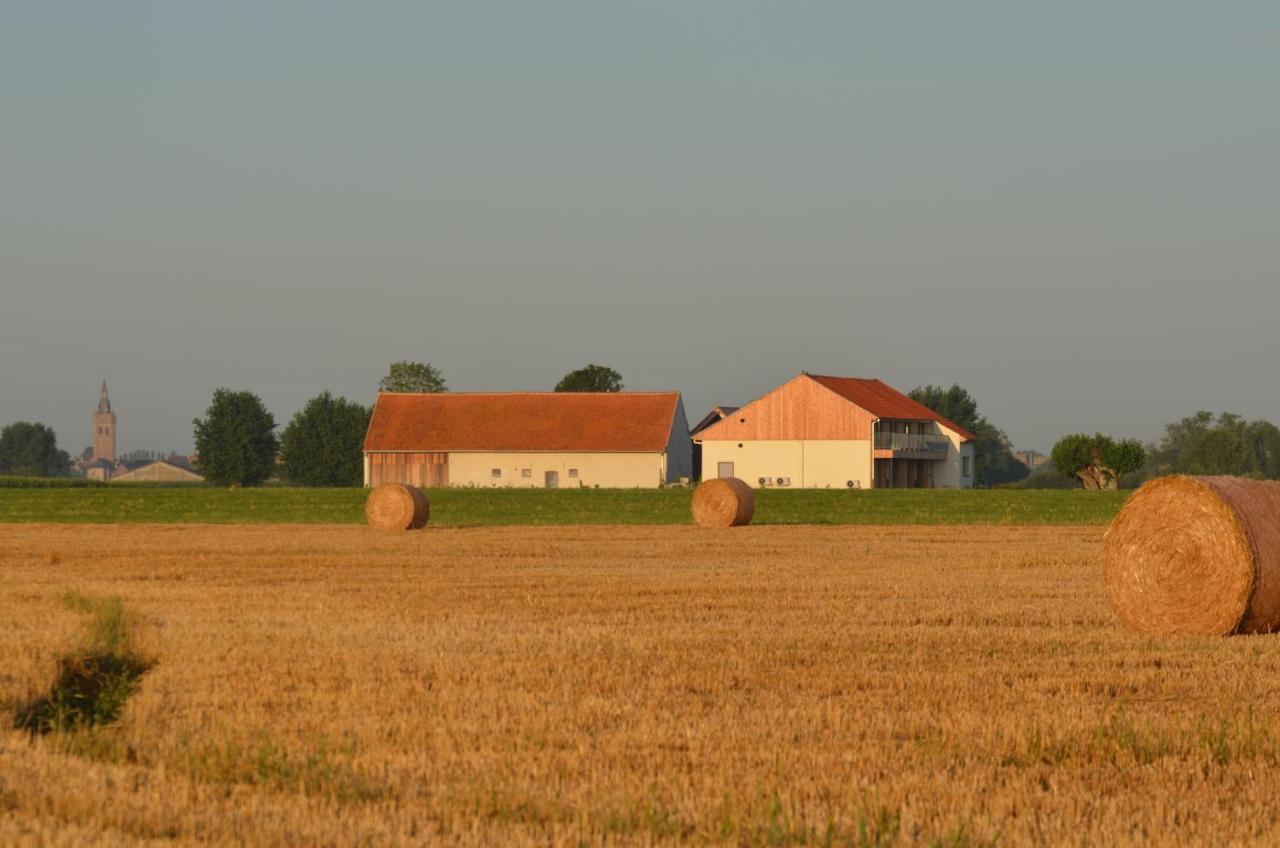 Oversteekhof Roesbrugge-Haringe Buitenkant foto