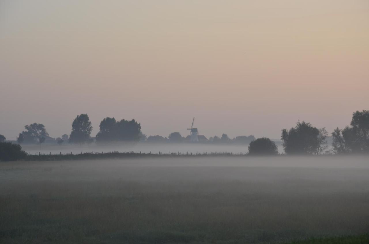 Oversteekhof Roesbrugge-Haringe Buitenkant foto